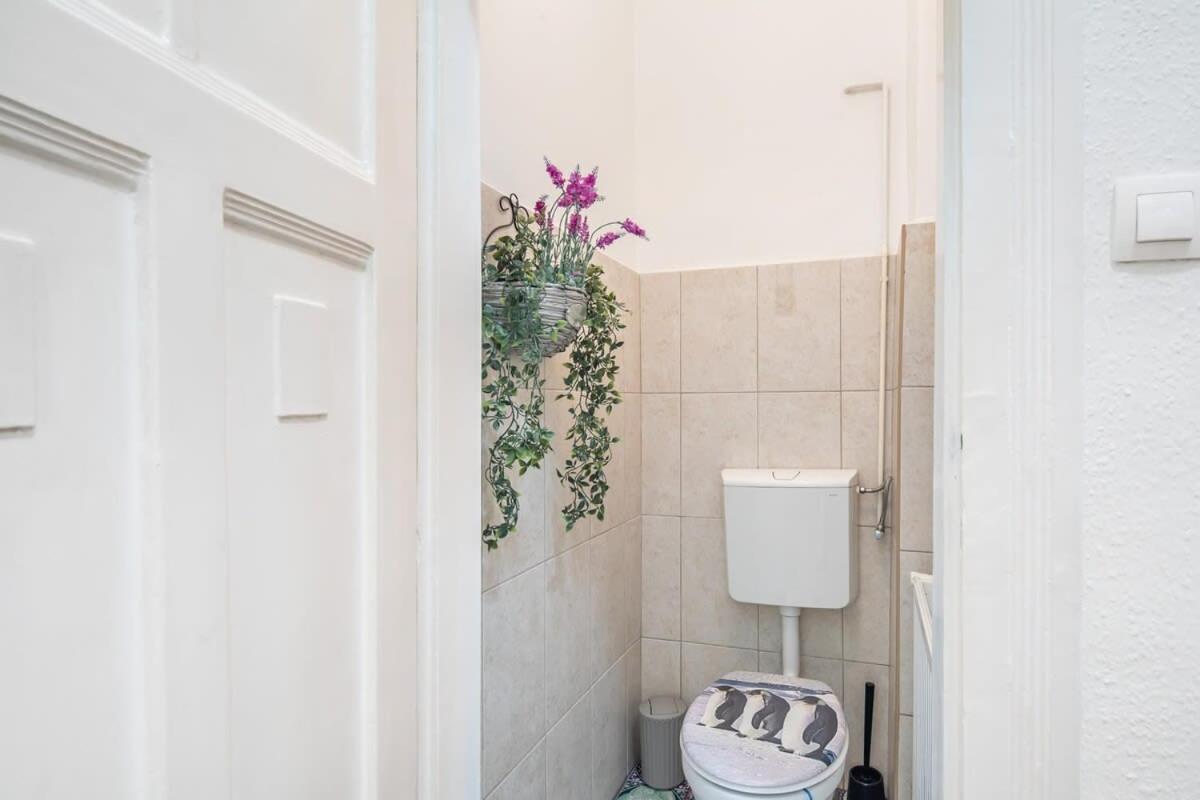- Large And Comfy Appartement *